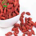 Fournir des baies de goji biologiques en vrac de nouvelle saison de haute qualité